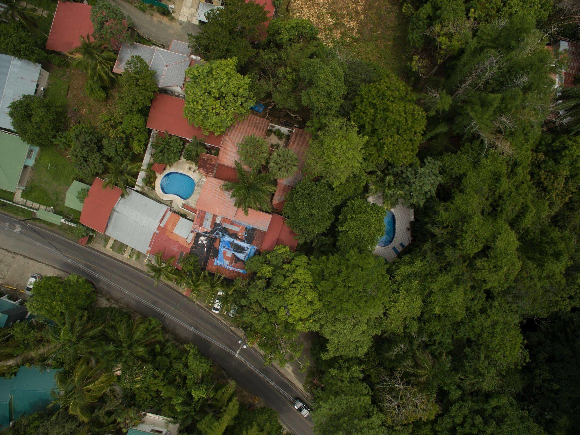 Hotel Mono Azul Quepos Eksteriør billede